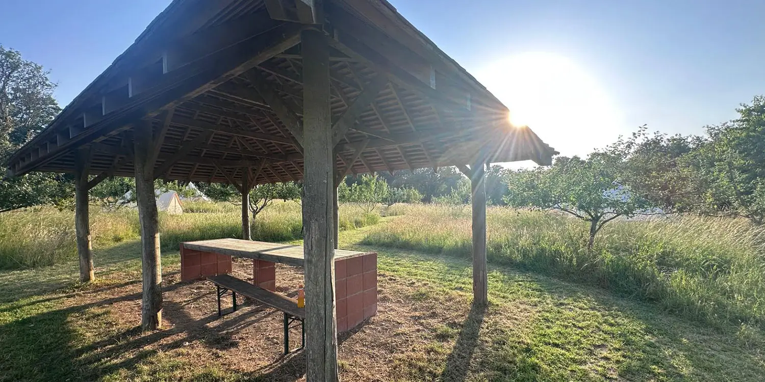 Dog-Friendly Campsites in Kent: Why Sunnyfield Welcomes Well-Behaved Pups