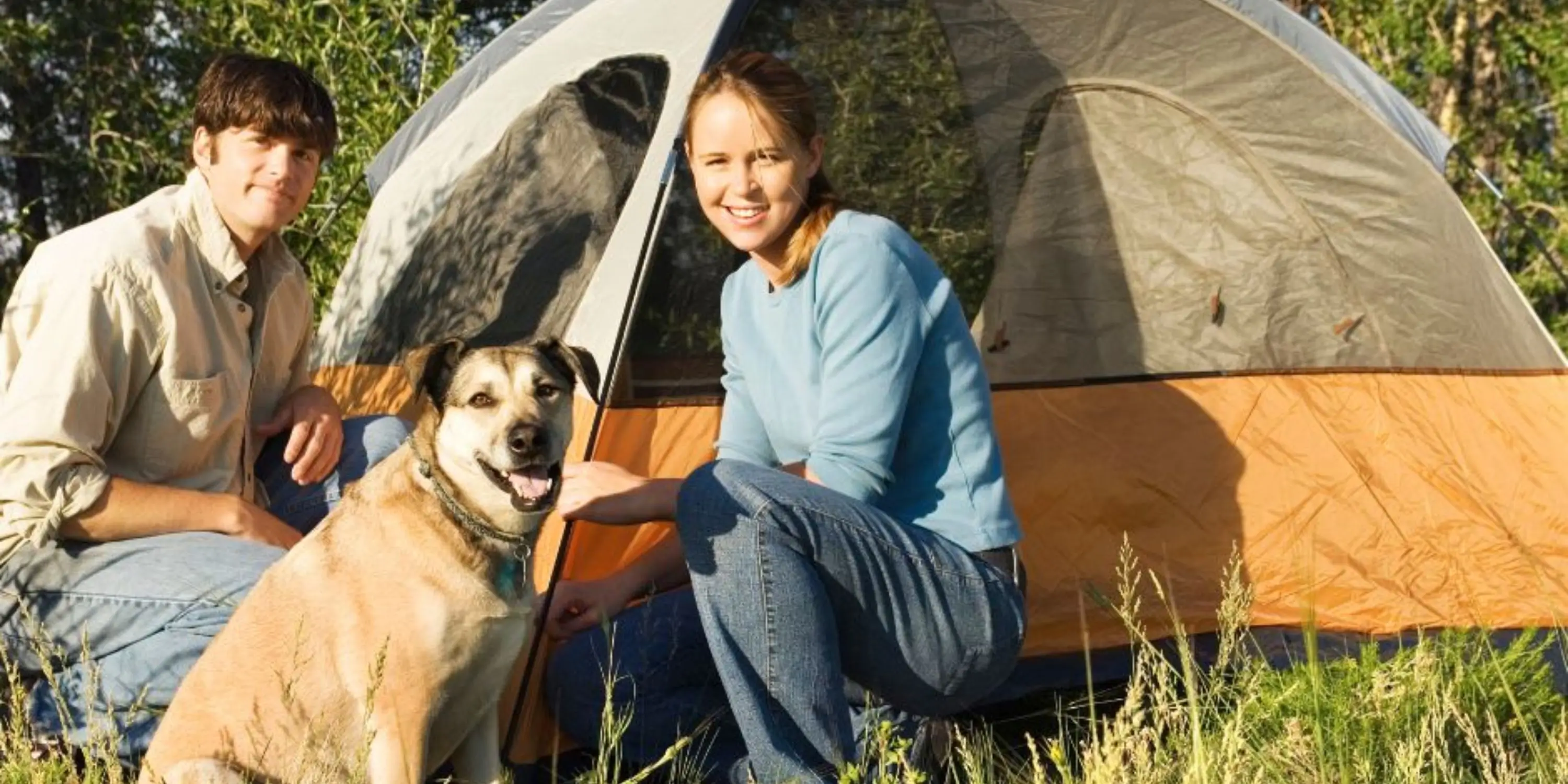 Dog-Friendly Group Camping Weekends in Kent
