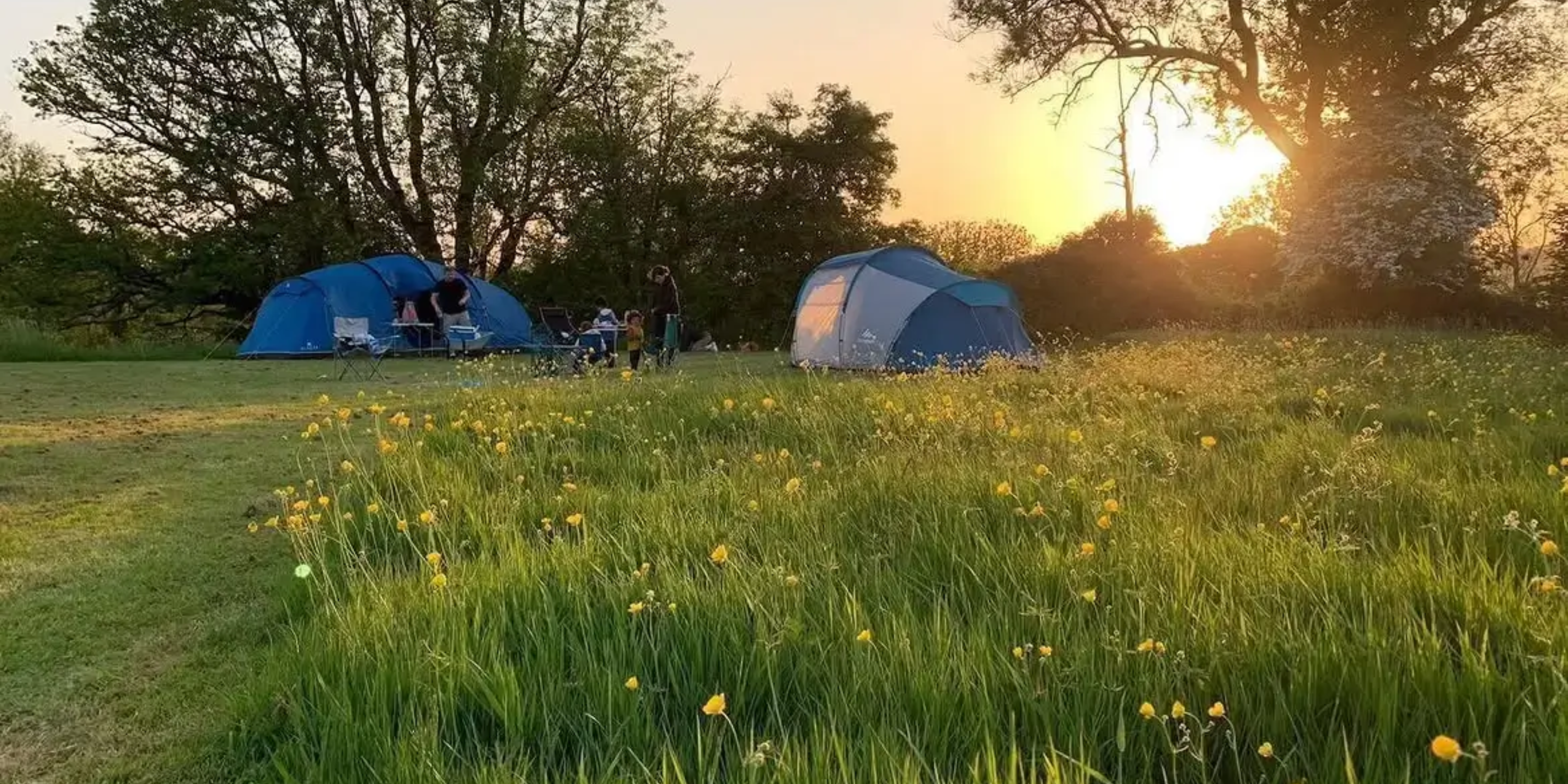 Group Glamping vs. Group Camping: Which Suits Your Celebration Better?
