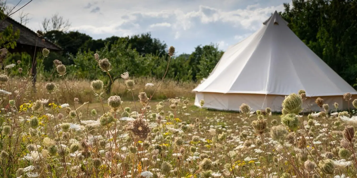 The Ultimate Kent Camping Packing List for Every Season