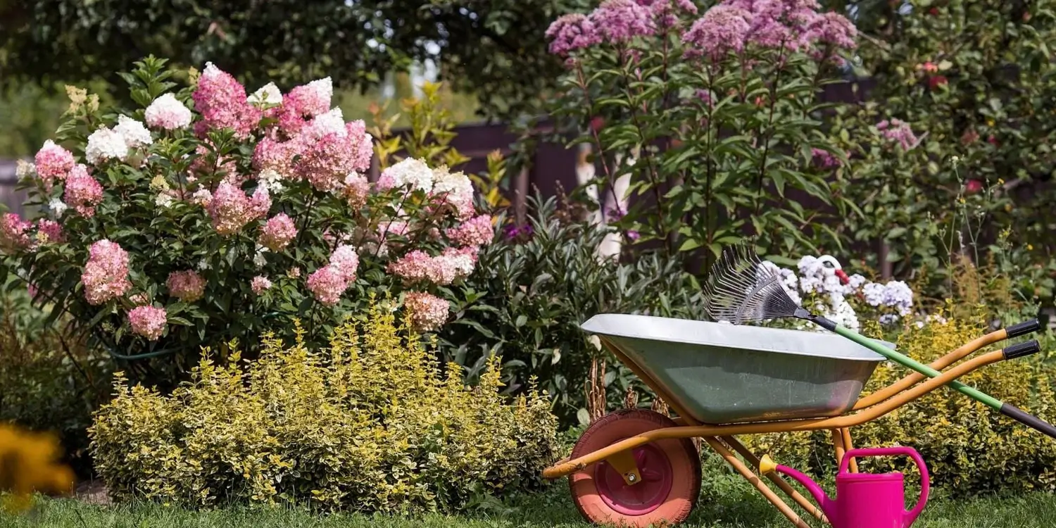 Wheelbarrows and Wildflowers: What to Expect on Arrival at a Car-Free Campsite