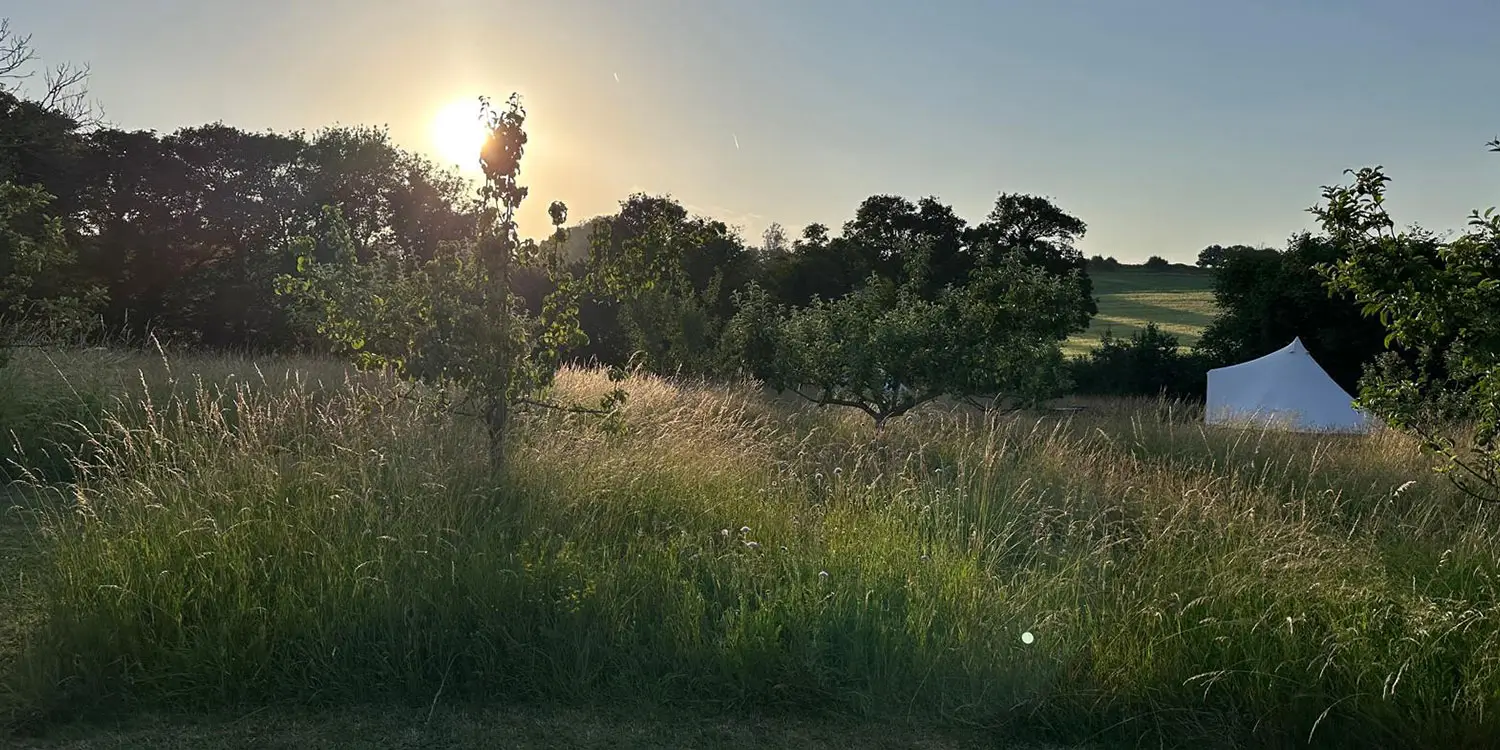 Why the Kent Downs Are an Area of Outstanding Natural Beauty