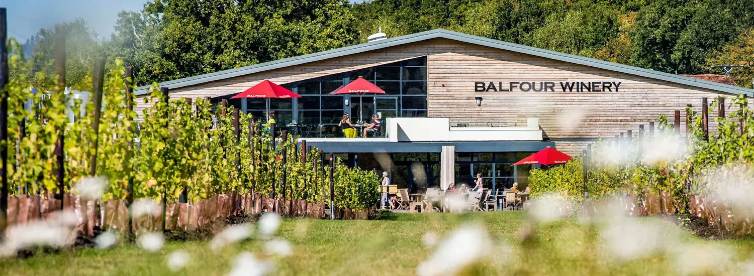 Balfour Winery