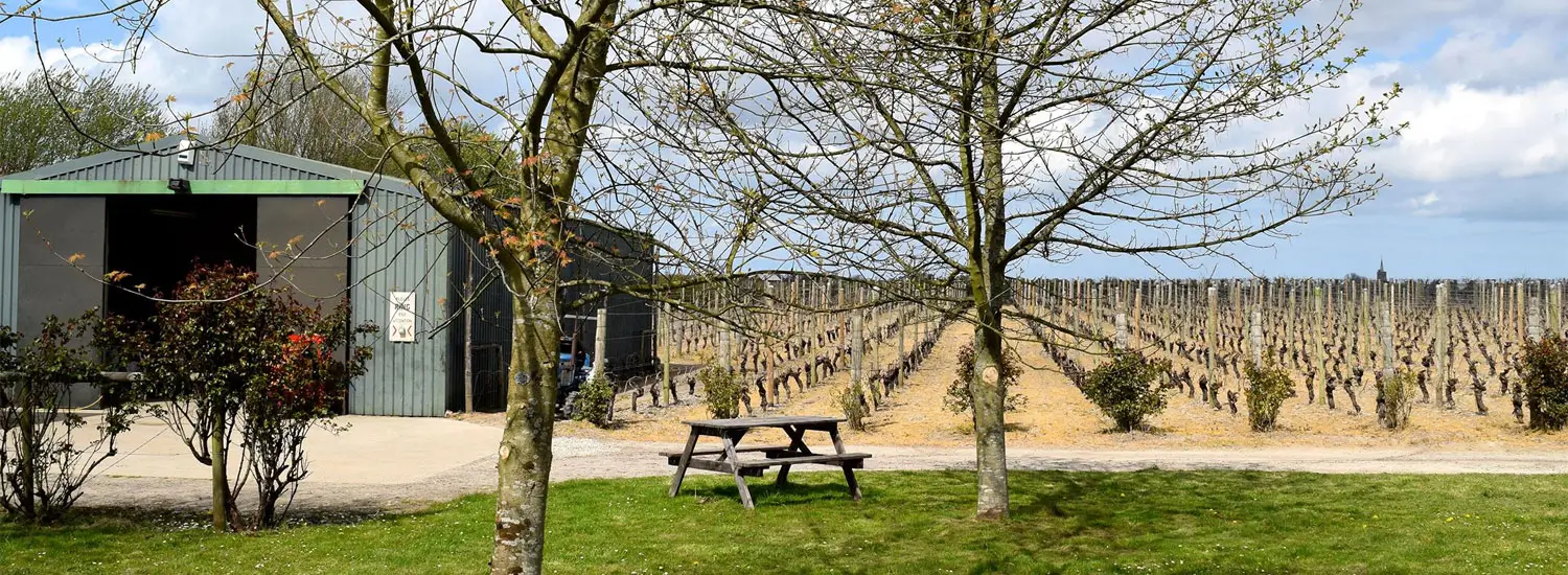 Barnsole Vineyard