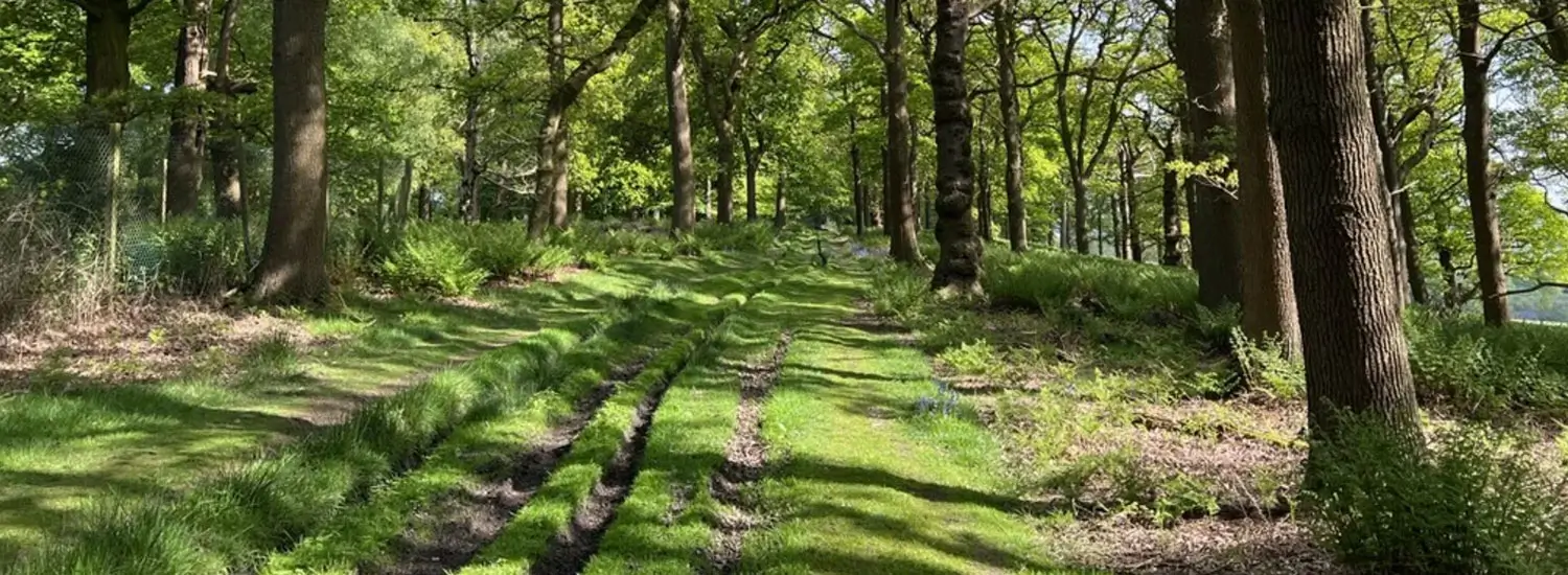 Kings-Wood-Circular-Walk-Kent