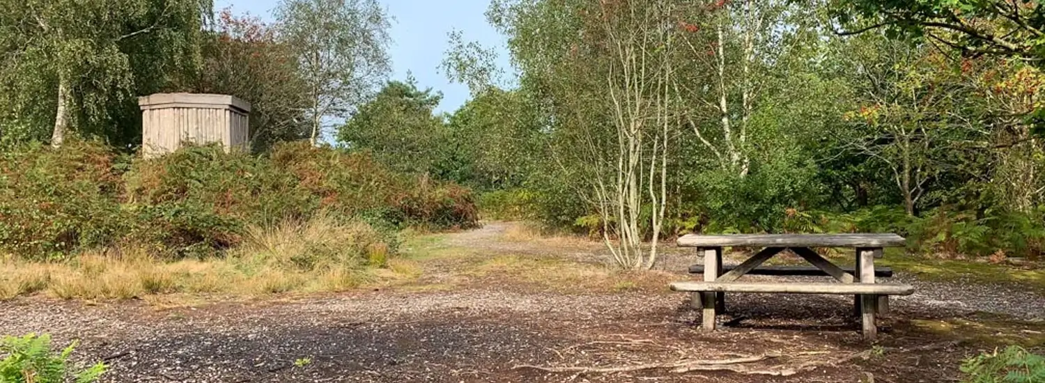 Perry-Wood-Viewing-Point-Kent